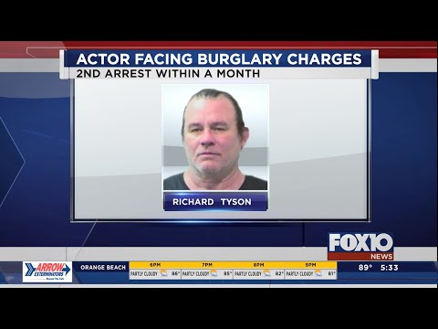 Actor Richard Tyson back in jail on burglary charge