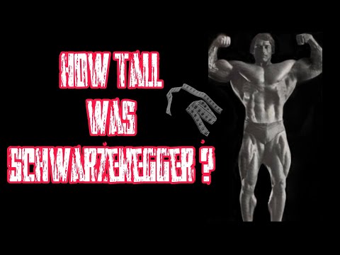 "Unveiling Arnold Schwarzenegger's Height: Fact vs. Fiction