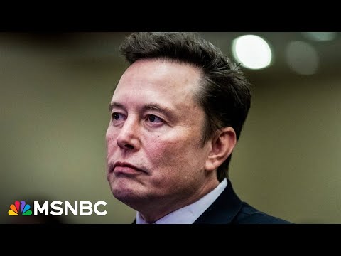 'De facto speaker': Congress members growing frustrated with Elon Musk