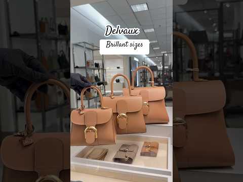 Delvaux Brillant 3 Sizes explained 💛#delvaux #luxury #sanjose #luxurybag #handmade