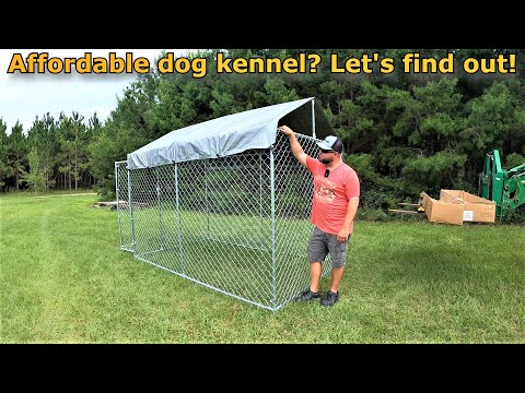 An affordable dog kennel? Let's find out! #637