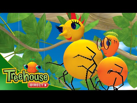 Miss Spider | Sing It Sister / Ant-tuition - Ep. 10