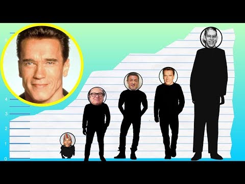 How Tall Is Arnold Schwarzenegger? - Height Comparison!