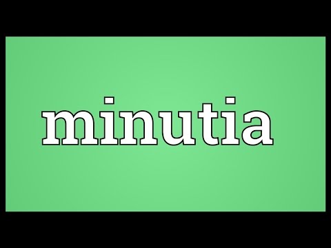 Minutia Meaning