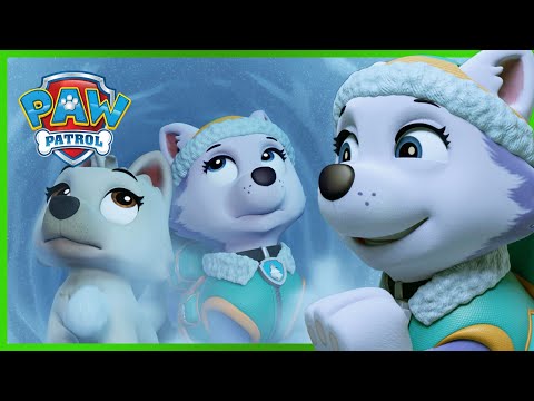 Everest Gets Stuck in a Cave! - PAW Patrol - Cartoons for Kids