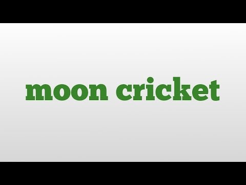 moon cricket meaning and pronunciation