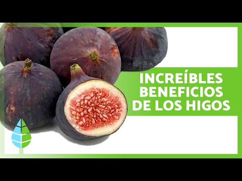 6 BENEFICIOS de los HIGOS ✅ (Propiedades Medicinales, Para Qué Sirven y Cómo Comerlos)