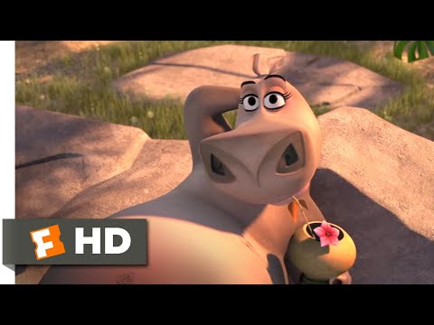 Madagascar: Escape 2 Africa (2008) - Moto Moto Likes You Scene (4/10) | Movieclips