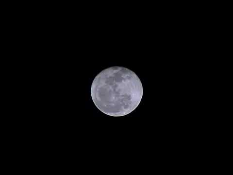 Relaxing: Cricket Sounds Under the Moon | 9 Hours for Rest