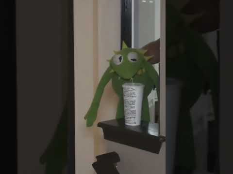 Kermit, don't drink that!