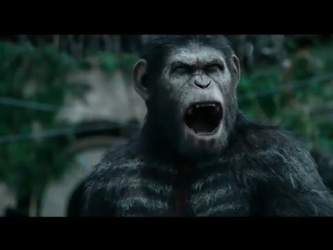 Caesar Speech | Dawn of the Planet of the Apes.