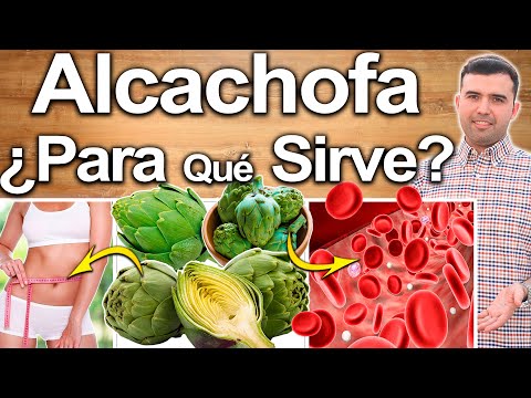 Alcachofa ¿Para Qué Sirve? - Beneficios Y Propiedades De La Alcachofa Para Tu Salud Y Belleza