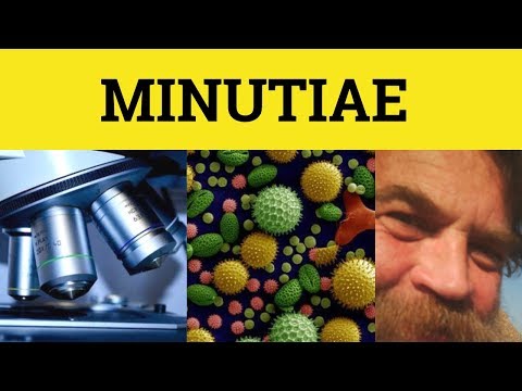 🔵 Minutiae - Minutiae Meaning - Minutiae Examples - Latin in English