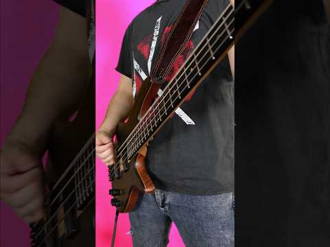 How to get Krist Novoselic's bass tone in 30 seconds! #bass #bassguitar #nirvana