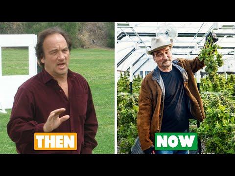 According To Jim Cast ✦ The Transformation | (how do they look now after all these years)