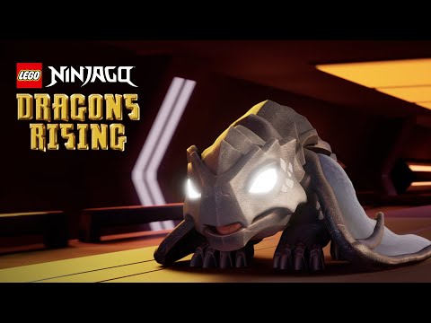 NINJAGO Dragons Rising | We Rise | Official Music Video!