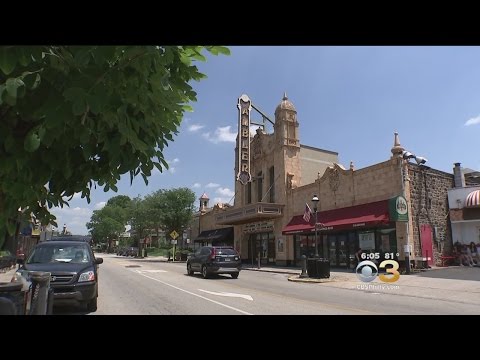 History, Now Playing At The Ambler Theater