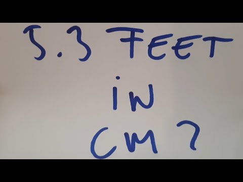 5.3 feet in cm?