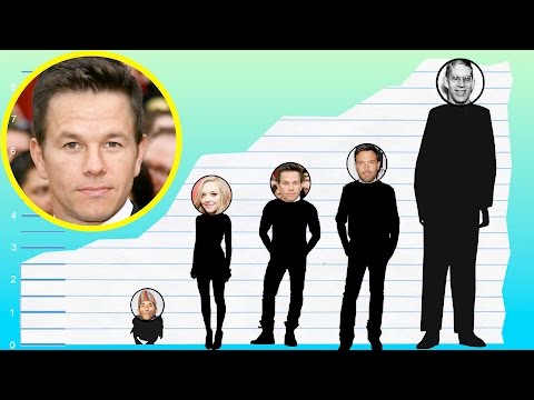 How Tall Is Mark Wahlberg? - Height Comparison!