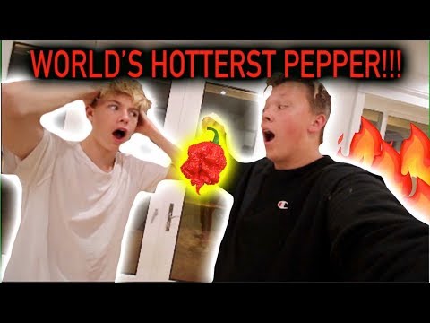 EATING THE WORLDS HOTTEST PEPPER!!!! (puke warning)