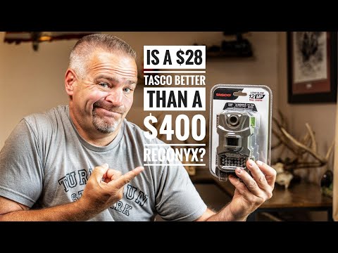 A $28 Tasco Trail Camera is better than a $400 Reconyx