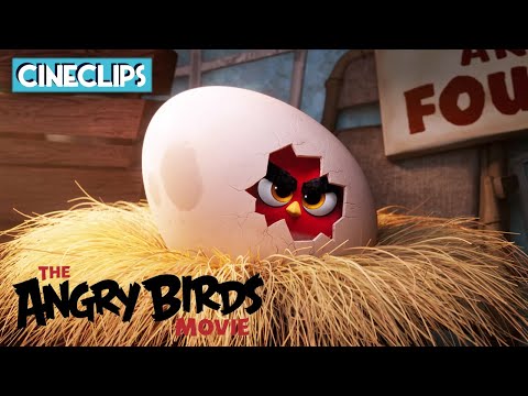 The Angry Birds Movie | Red's Angry Story | CineClips