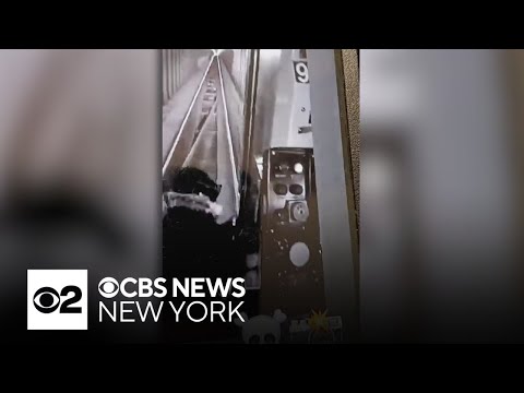 NYPD searches for subway joyride suspects