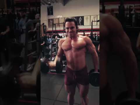 Golds Gym Venice Curls - Zack Palmisano