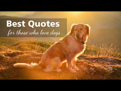 60 Best Quotes About Dogs | Animal Lovers | Dog Lovers | Love For Dogs | Best Dog Quotes | Cute Dogs