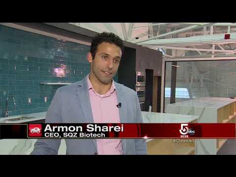 Arsenal Yards on WCVB's Chronicle