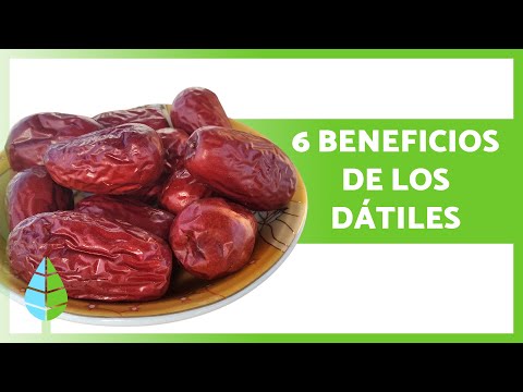 BENEFICIOS de los DÁTILES para la SALUD 💚 | Propiedades, Cómo Comerlos y Contraindicaciones