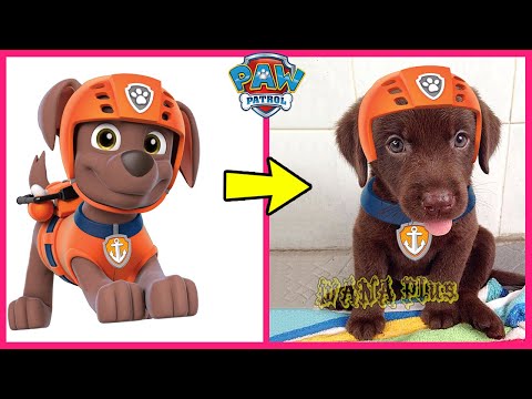 Paw Patrol Characters In Real Life 👉@WANAPlus