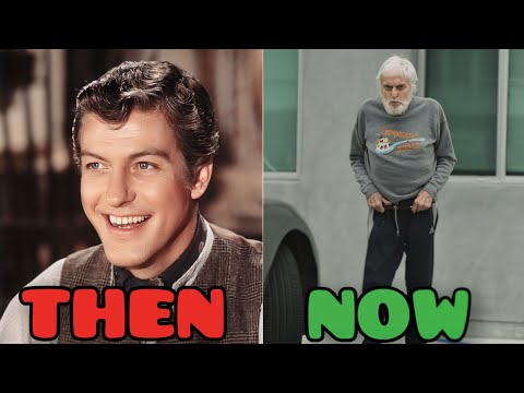 Chitty Chitty Bang Bang 1968 | Cast Then And Now 2024 | How They Changed?