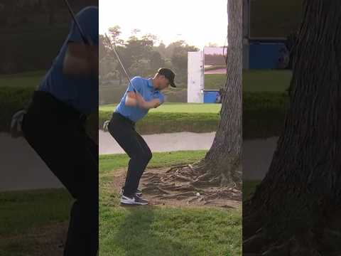 This Tree Shot By Cam Davis On 18 At Pebble Beach Is Insane 😩🏌️‍♂️🔥 #trending