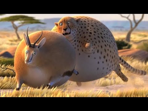 Divertidos Animales Gordos - Cortometraje Animado | Animales De Dibujos Animados Películas