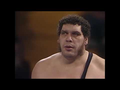 Andre the Giant vs  Big John Studd     04  04 89