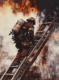 ladder 49