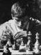 searching for bobby fischer